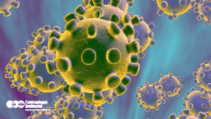 desinfeccion-limpieza coronavirus covid 19